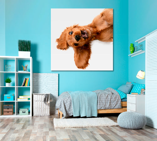 CRAZY PURE YOUTH English Cocker Spaniel Young Funny Cute Dog Kids Room Art - Square Panel