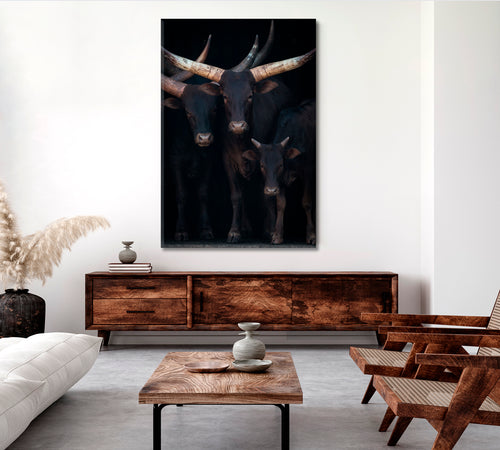 Horns Ankole Watusi Cows Cattle Poster