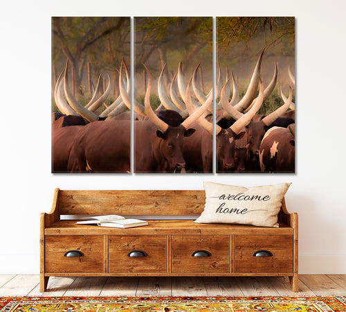 Herd Ankole Cows Huge Horns African Animals Poster