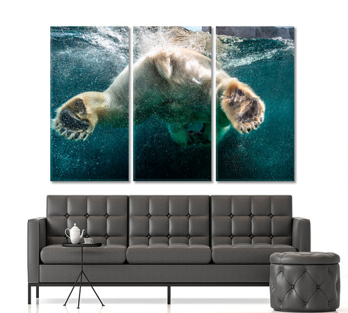 BUBBLES Polar Bear Big Paws Swimming Undersea