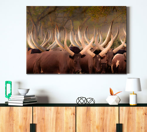 Herd Ankole Cows Huge Horns African Animals Poster