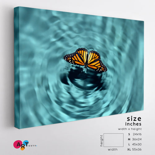 BUTTERFLY REFLECTION Wave Motion Water