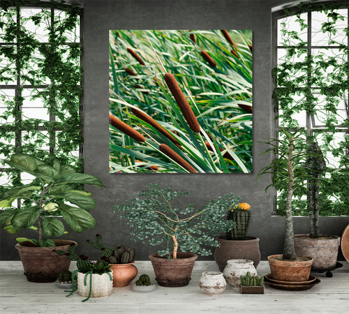 Colorful Green Reeds with Cattail - Square Panel
