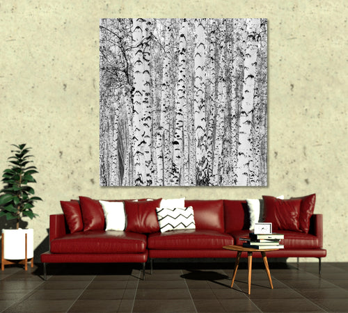 Birch Forest Winter Landscape Black and White Photo Print - Square Panel