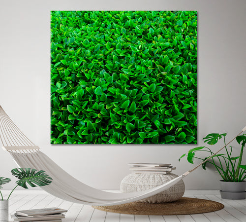 LIVE GREEN HOME Plant Leaf Abstract - Square Panel
