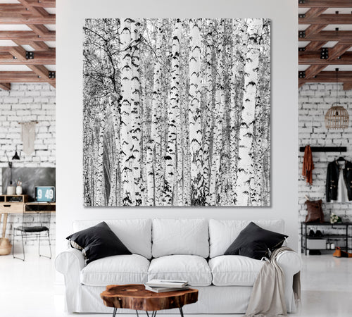 Birch Forest Winter Landscape Black and White Photo Print - Square Panel
