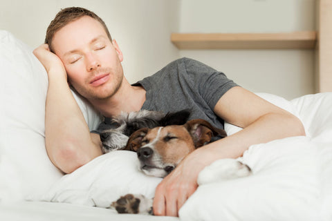 Pets in bed can make you feel hot, man sleeping having dogs on bed