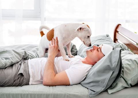 Having dogs in your bed can boost your wellbeing