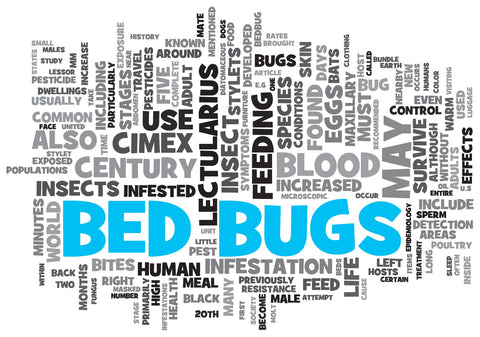 Can bed bugs go through a plastic mattress cover?