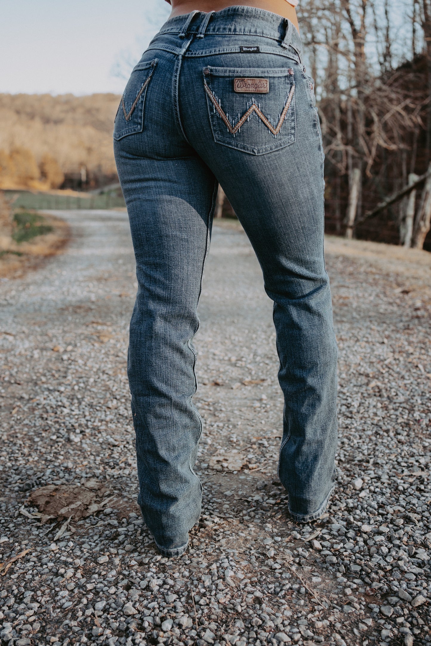 Wrangler Shania Plus Size Jeans – Wiseman's Western