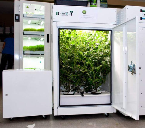 Indoor Growing Und Die Grow Box Namaste Vapes Deutschland