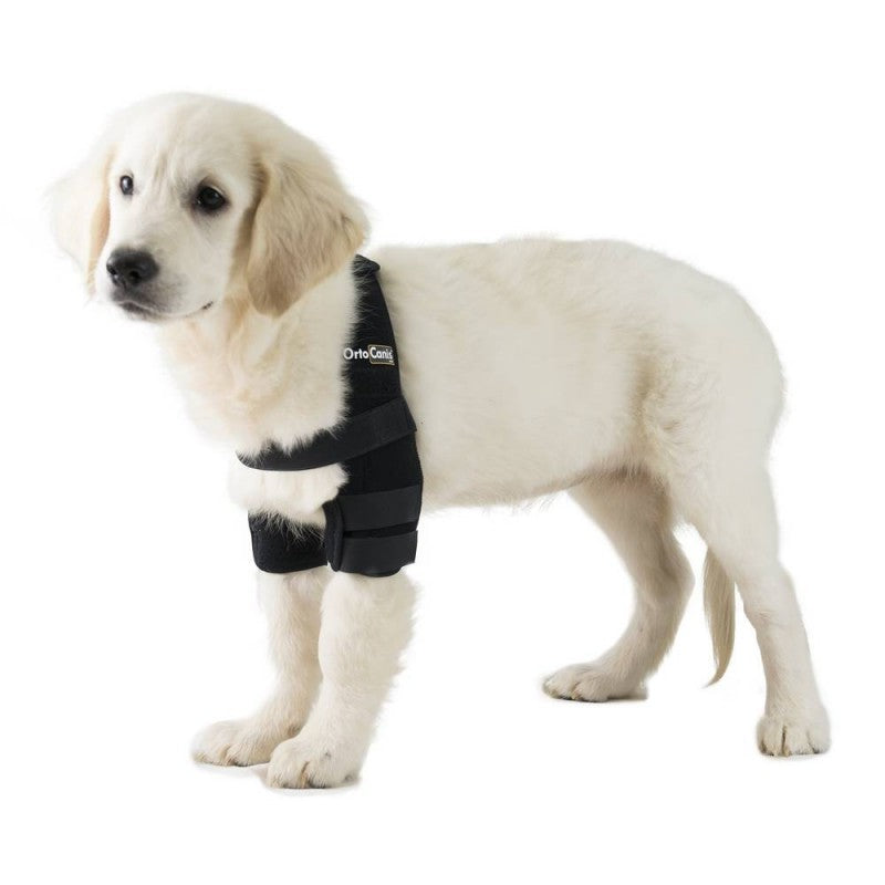 Ortocanis Dog Elbow Pads