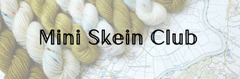 Mini Skein Club