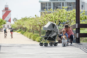 clearance pushchairs