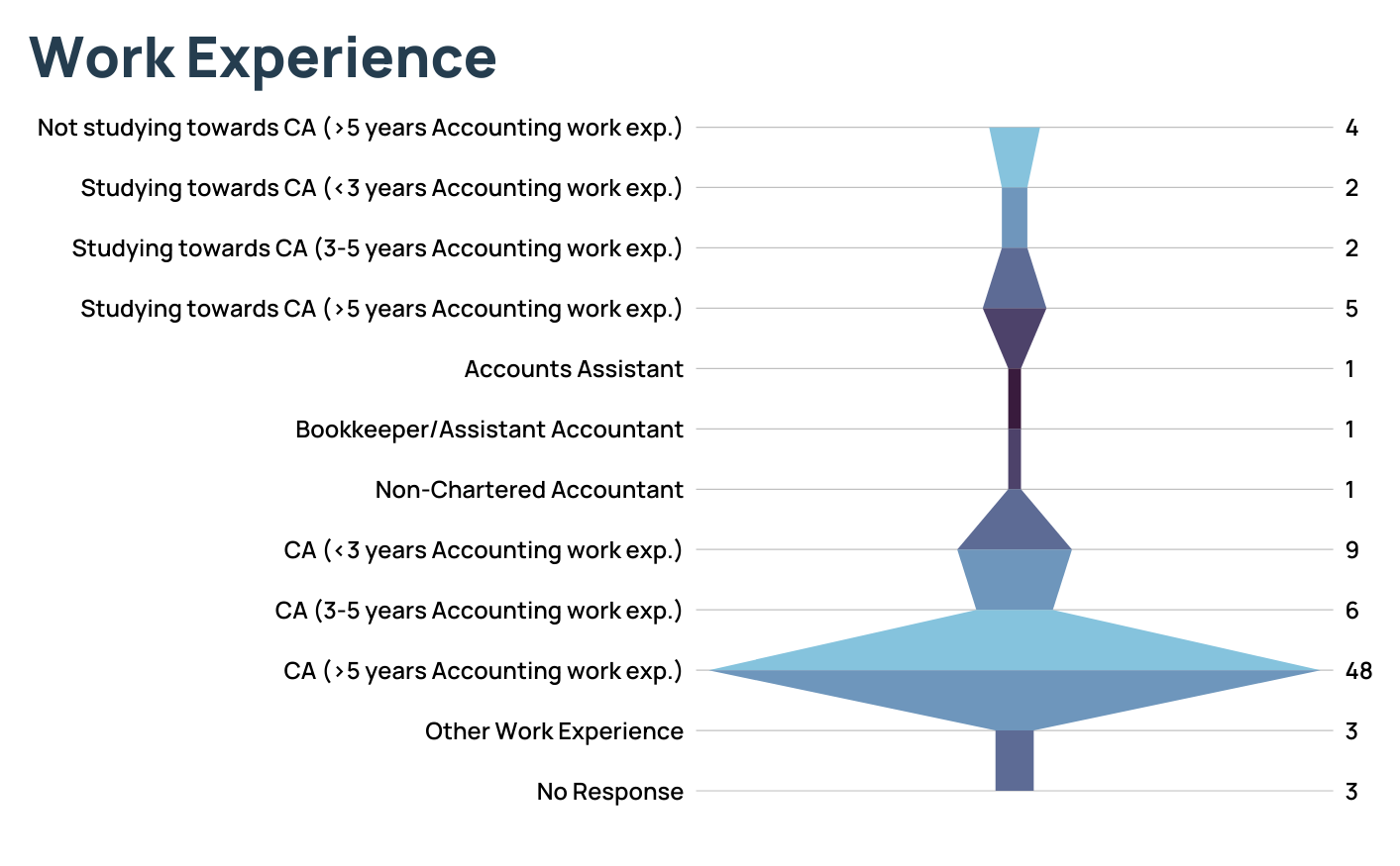 Int CPA Work Experience