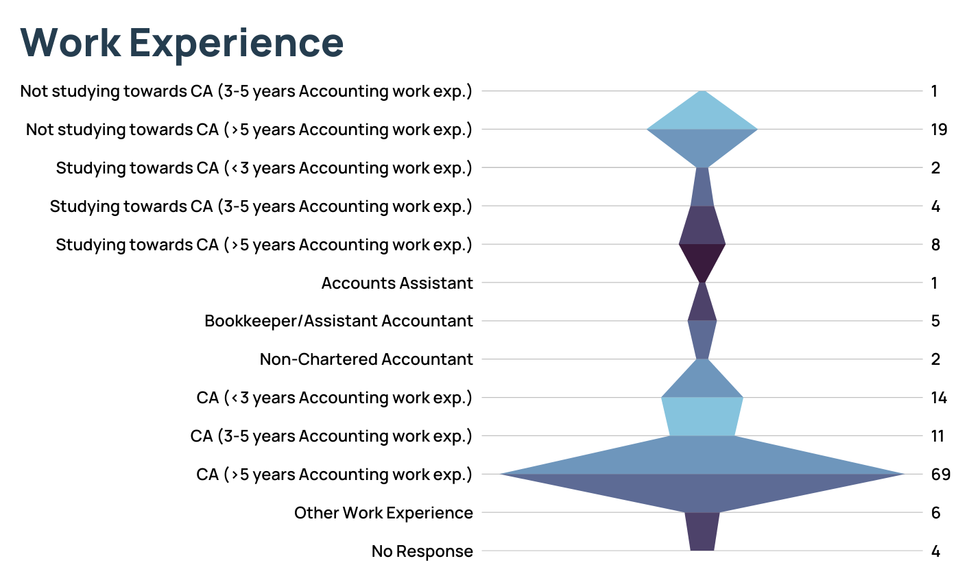 Mgmt Acct Work Experience