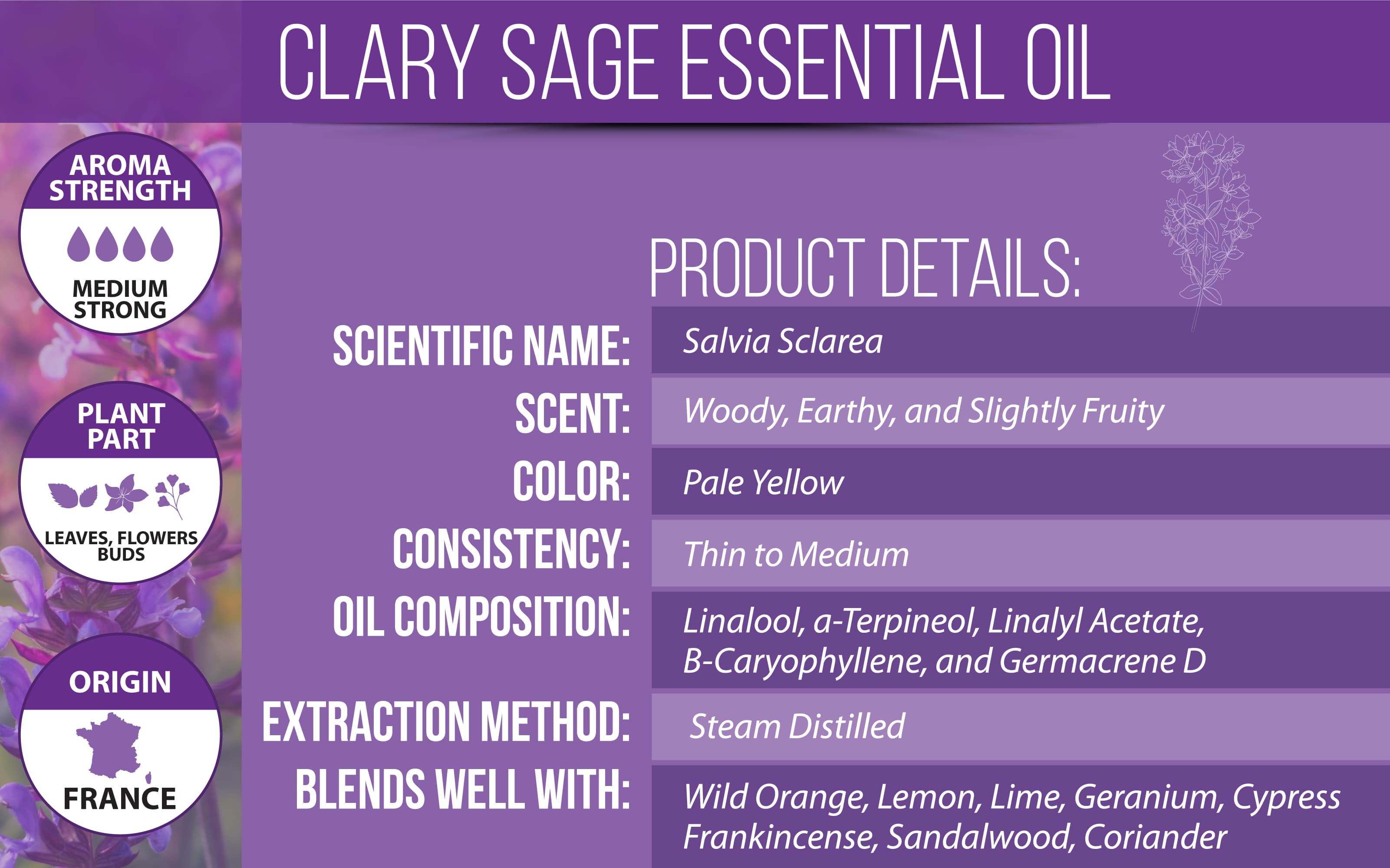 Clary Sage Essential Oil Product Details