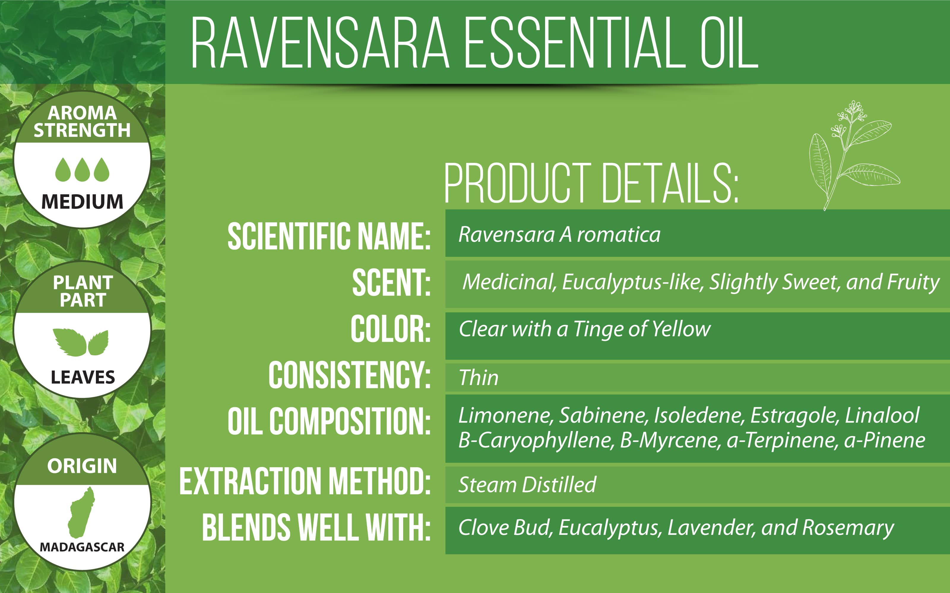 Ravensara Product Details