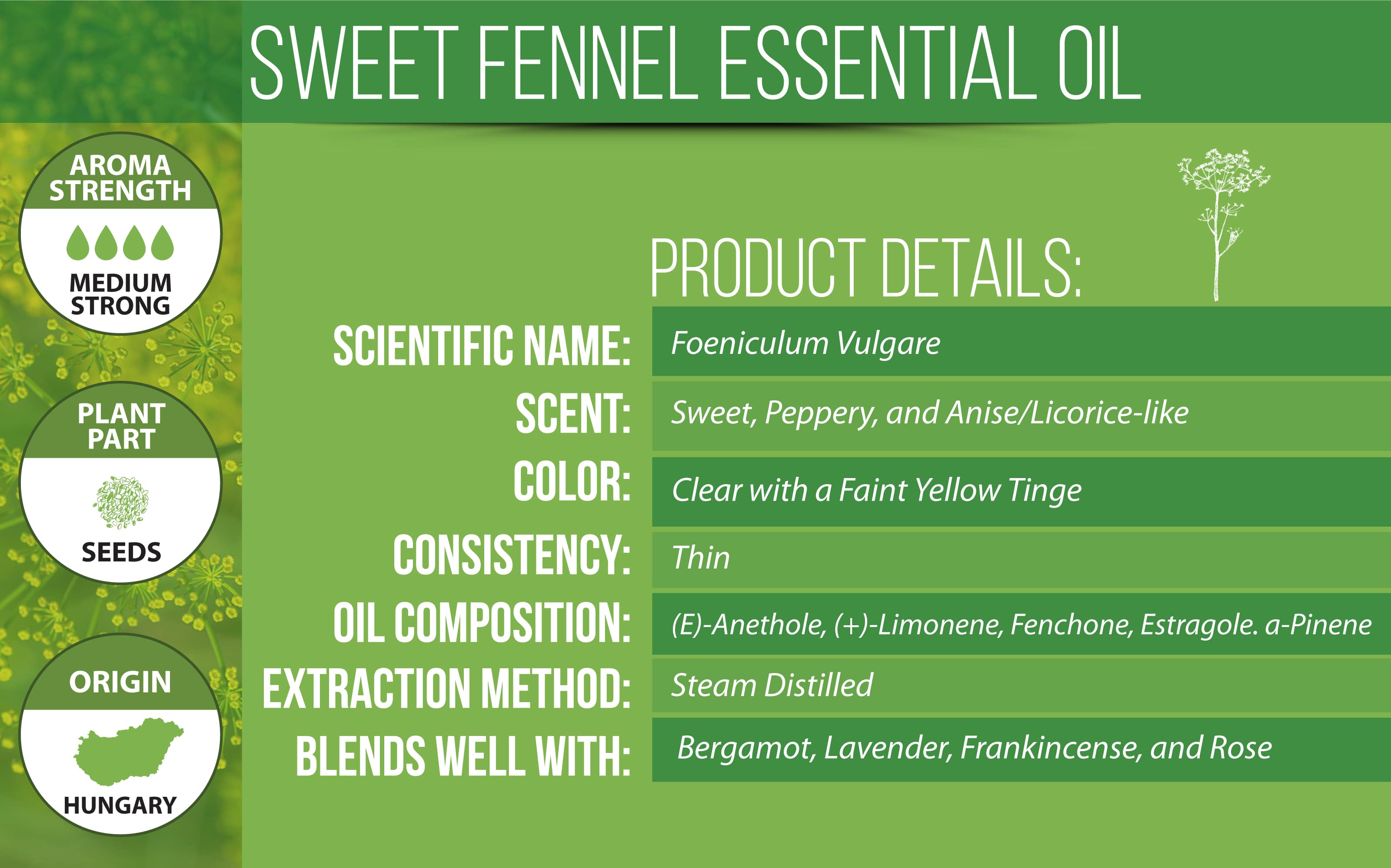 Fennel Essential Oil (Sweet)