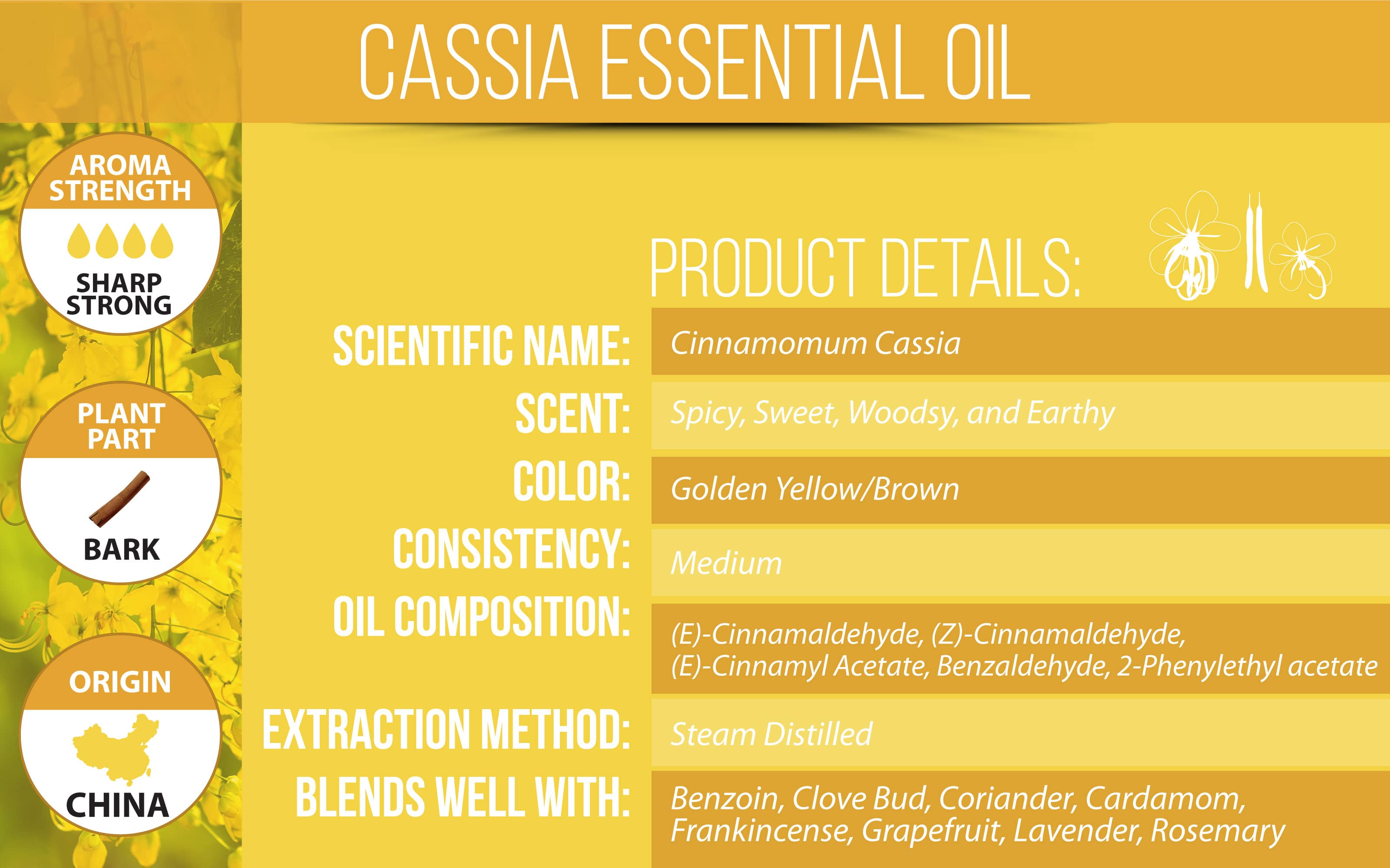 Cassia Essential Oil Product Details
