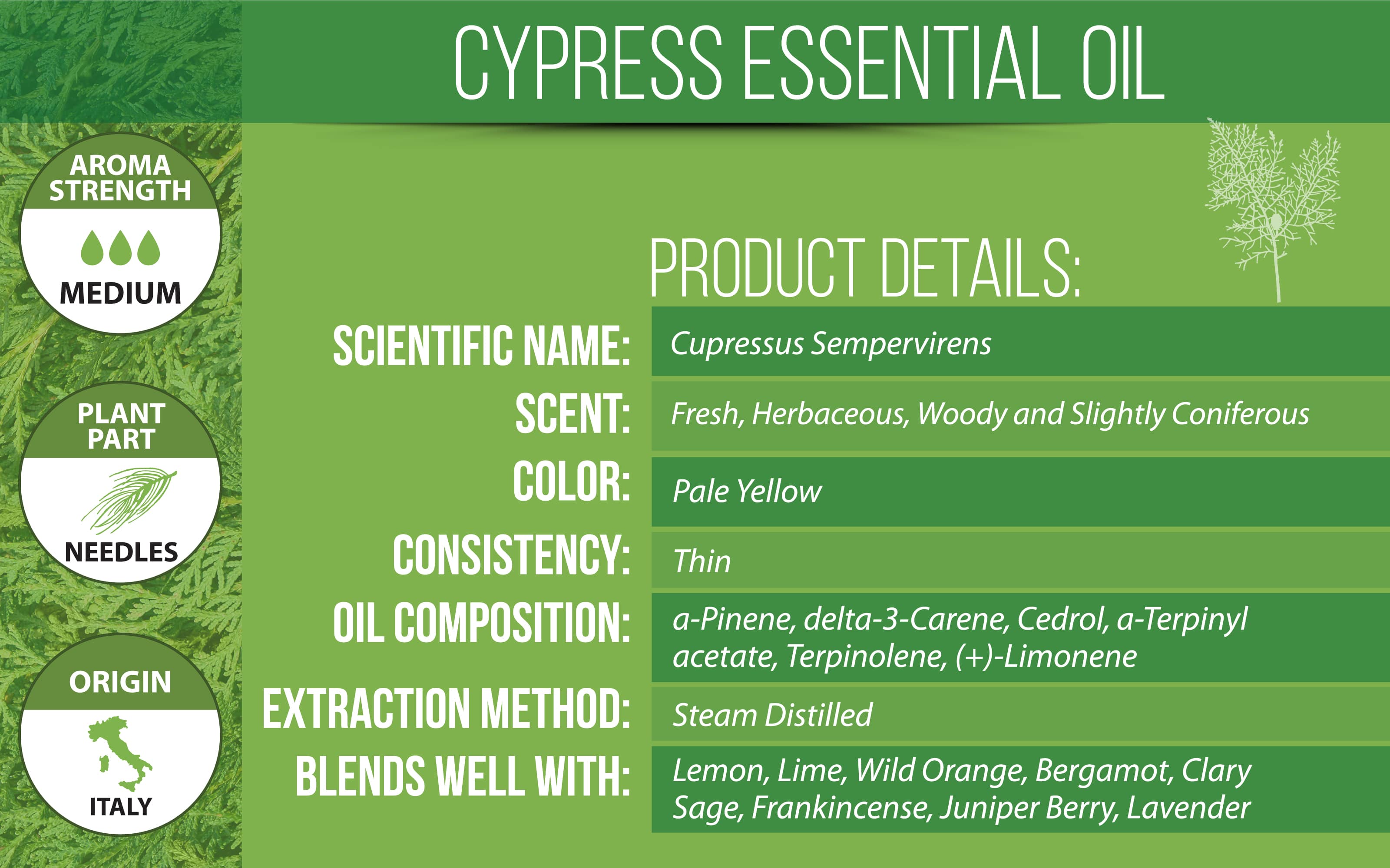 Cypress Essential Oil Product Details
