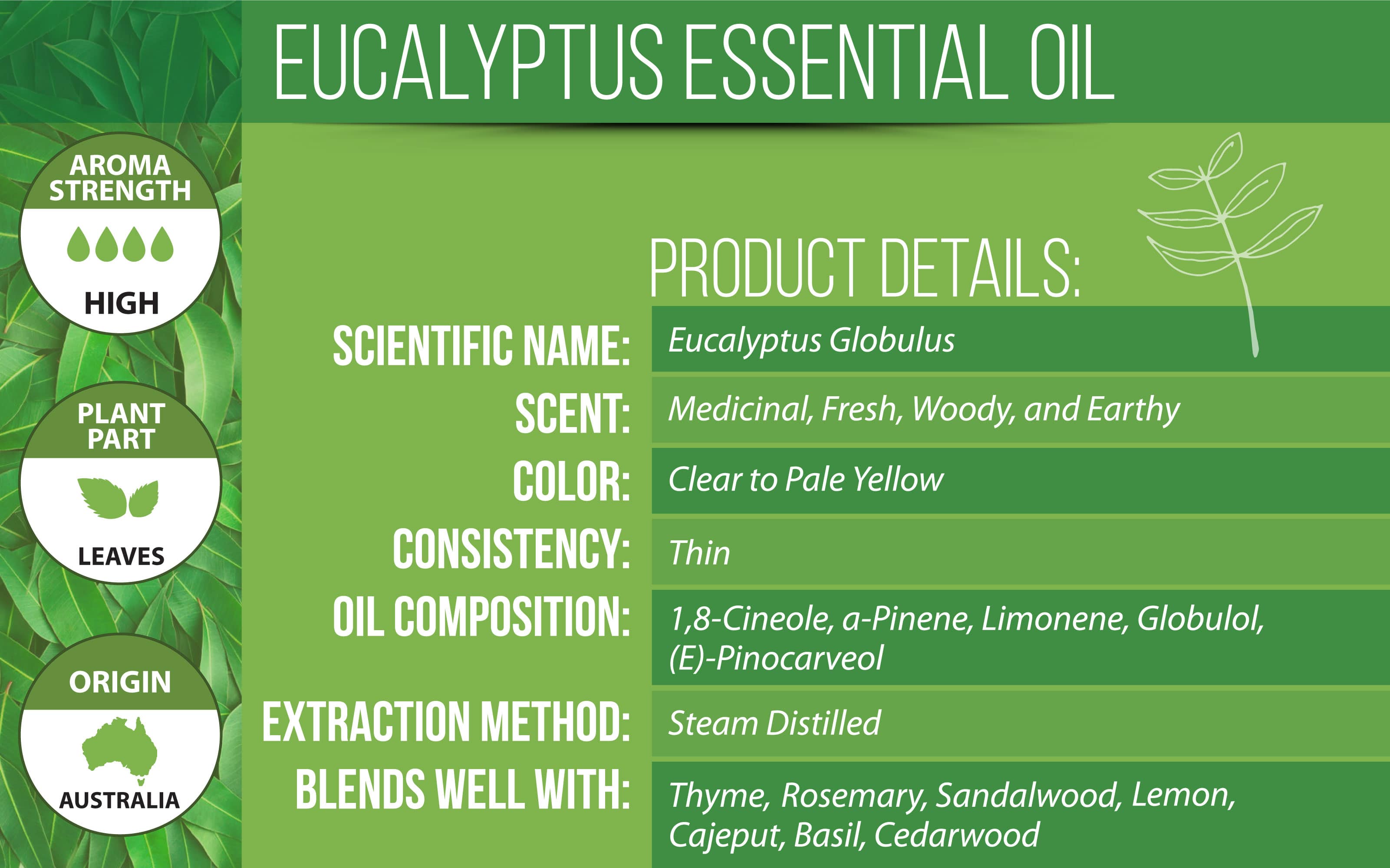 Eucalyptus Essential Oil Product Details