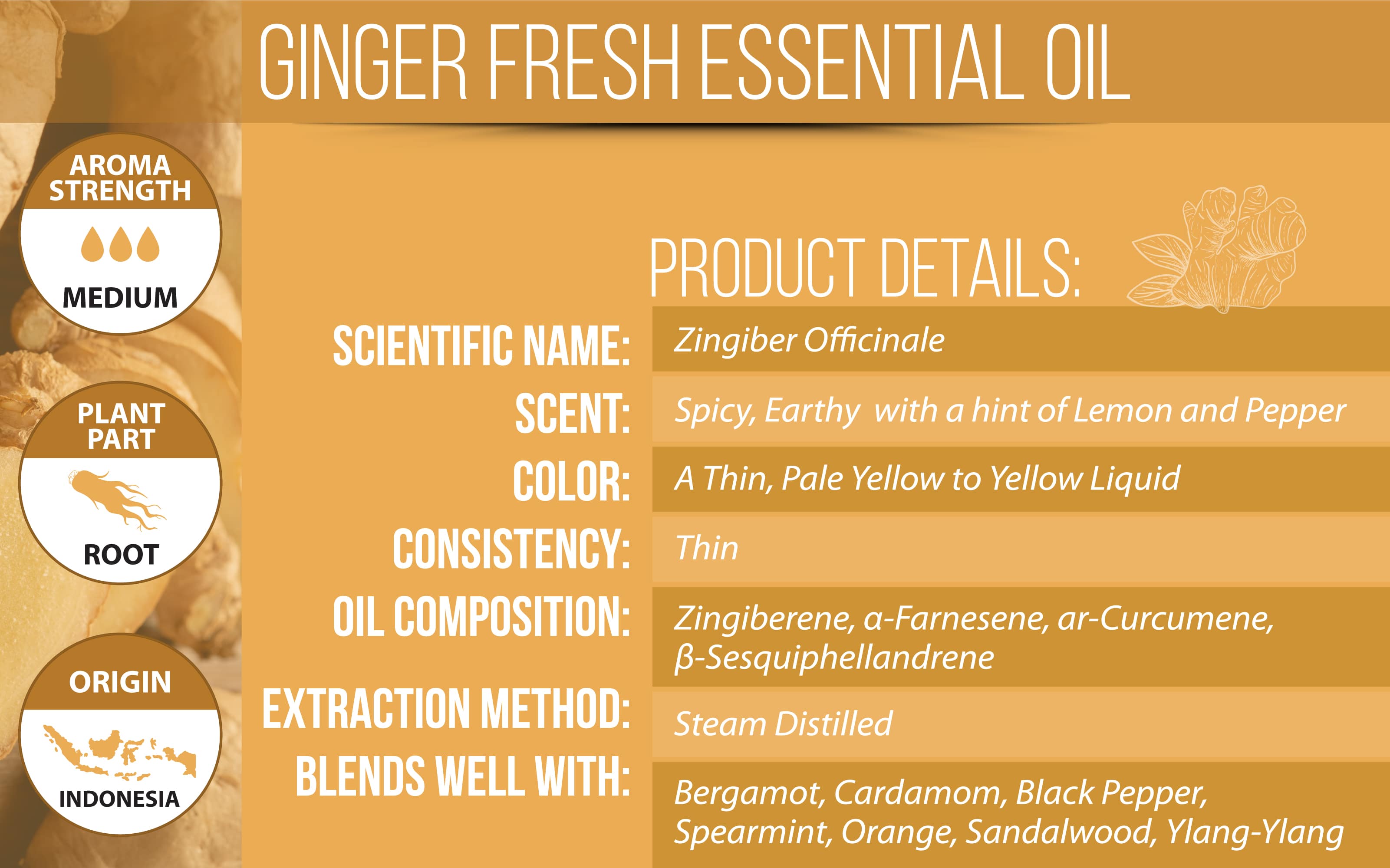 Ginger Essential Oil Product Details