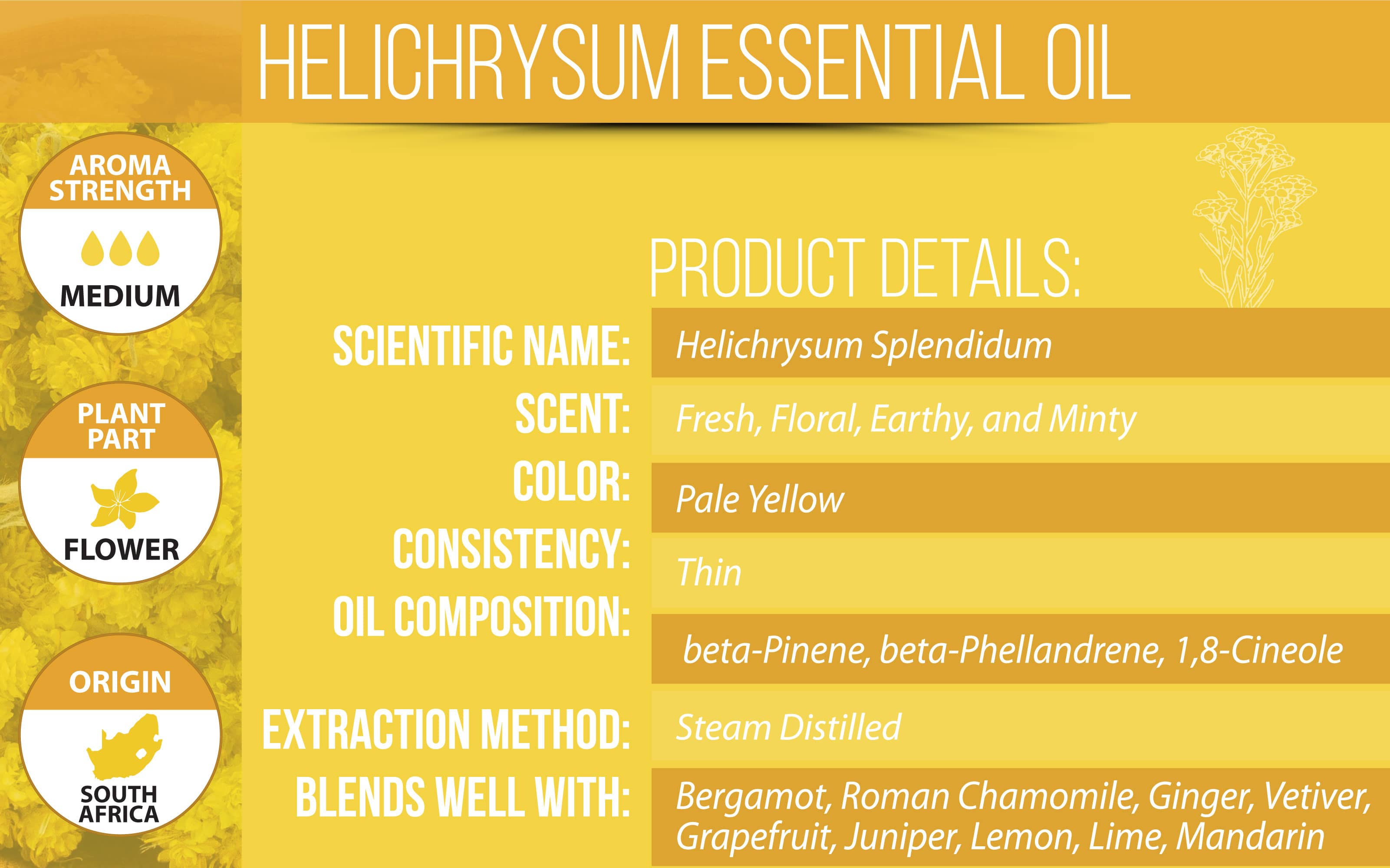 Helichrysum Essential Oil Product Details