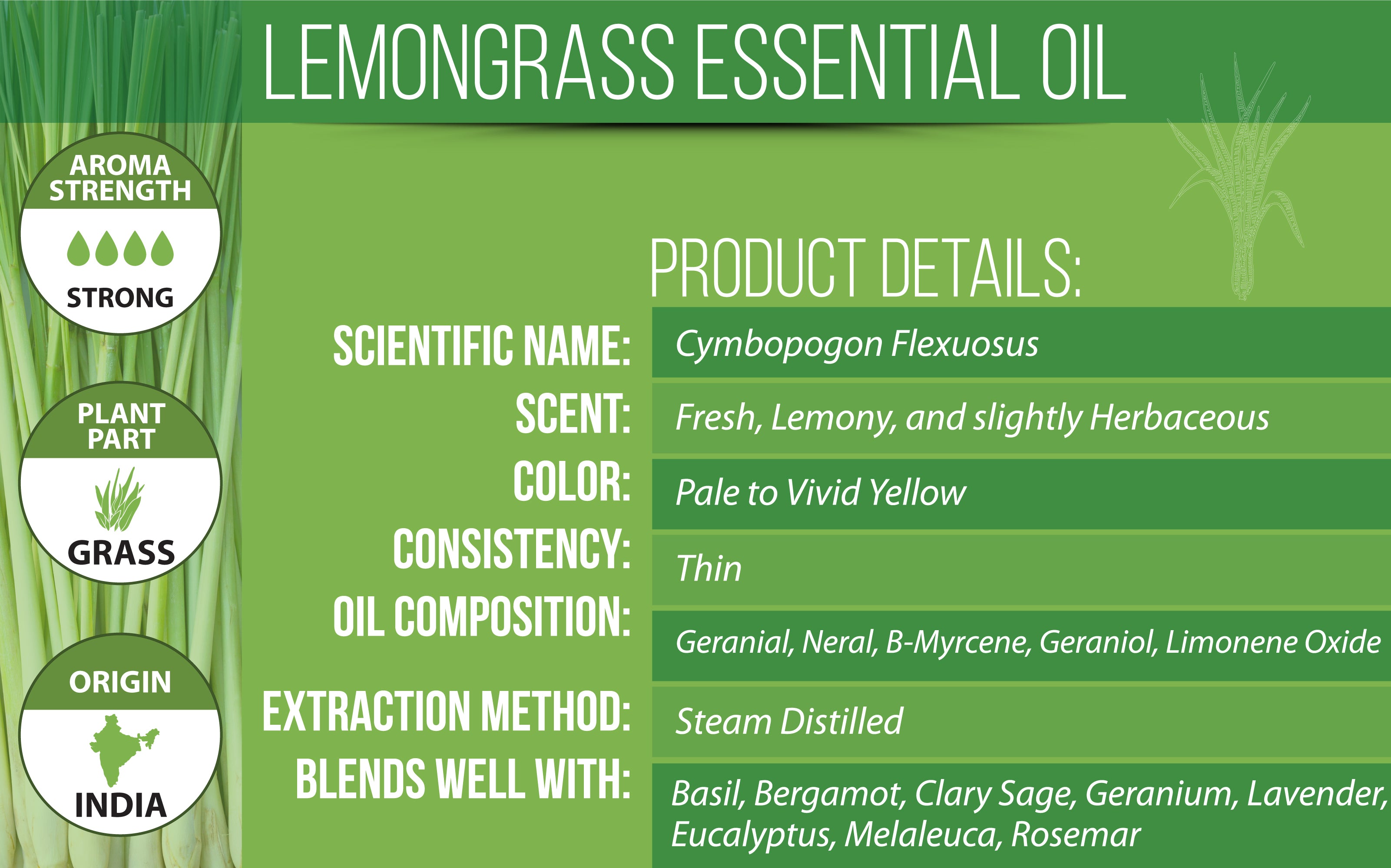 Lemongrass Essential Oil, Uses, Benefits & Blends