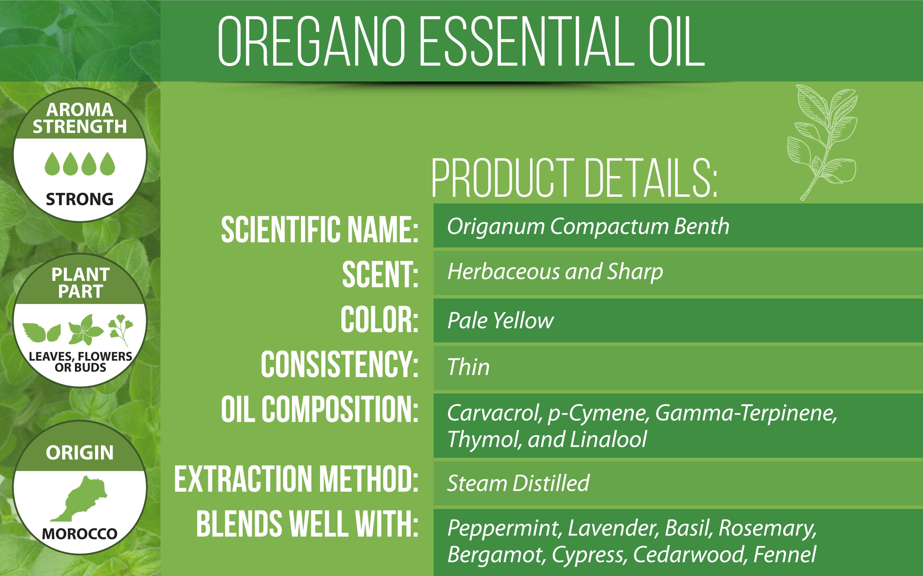 Oregano Essential Oil Product Details