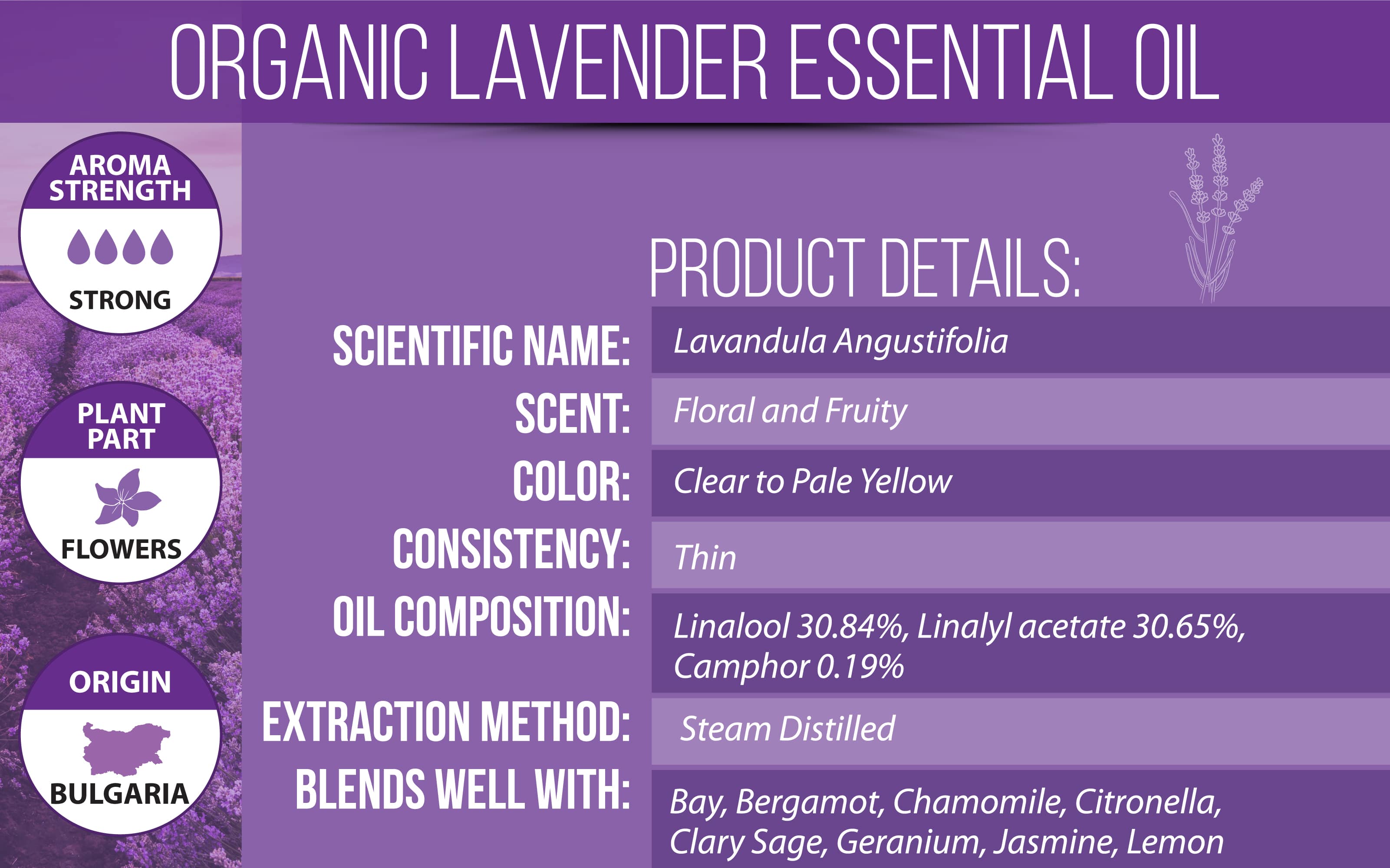 What are the Benefits of the Bay Rum Essential Oil?  Lavender essential  oil benefits, Aromatherapy oils, Essential oils