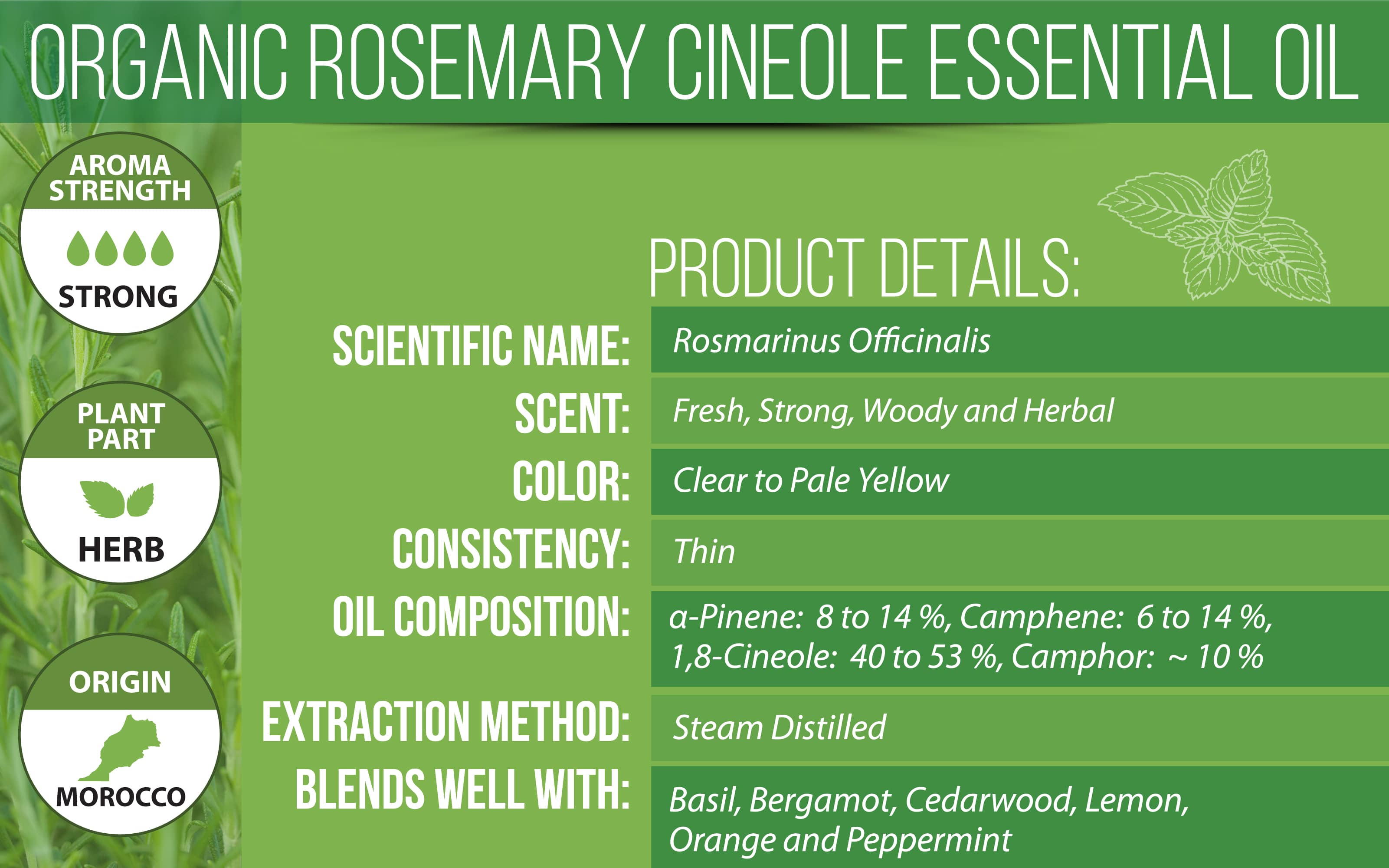 Organic Rosemary Essential Oil Product Details