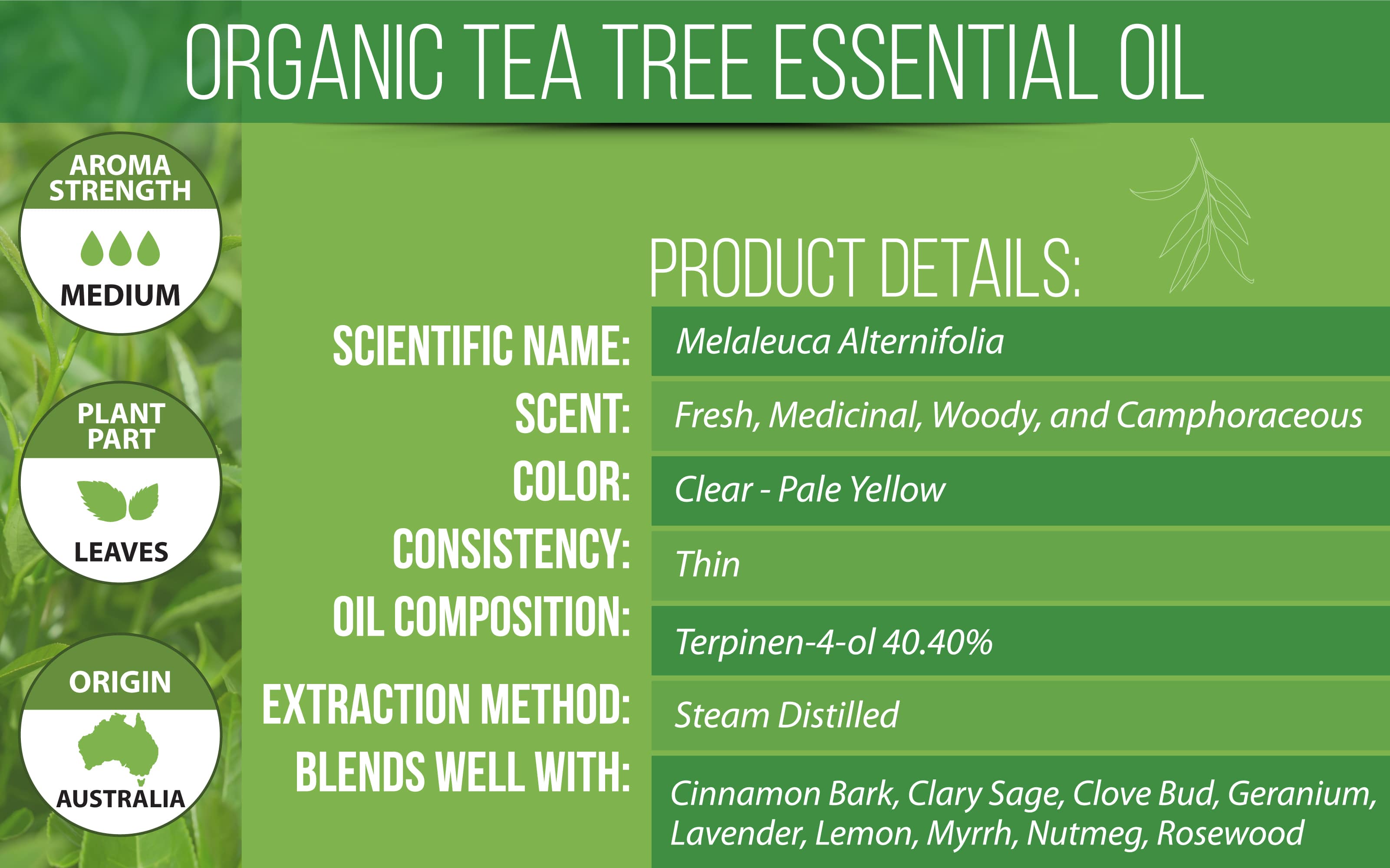 Organic Tea Tree Essential Oil Product Details