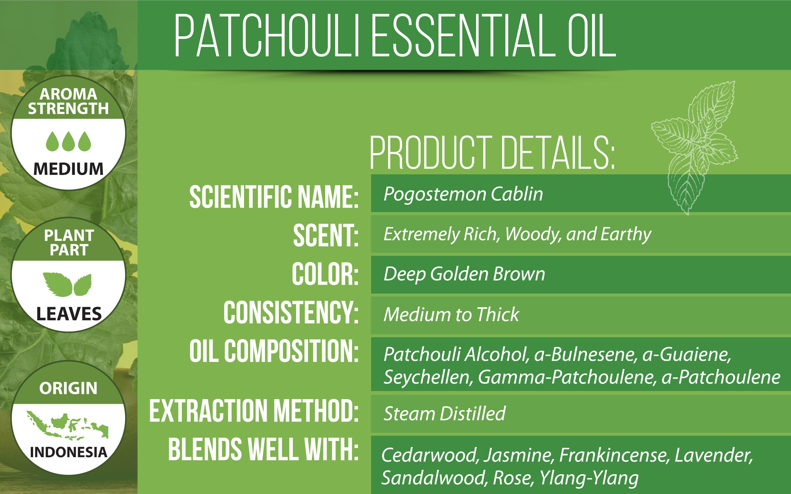 Patchouli Essential Oil Product Details