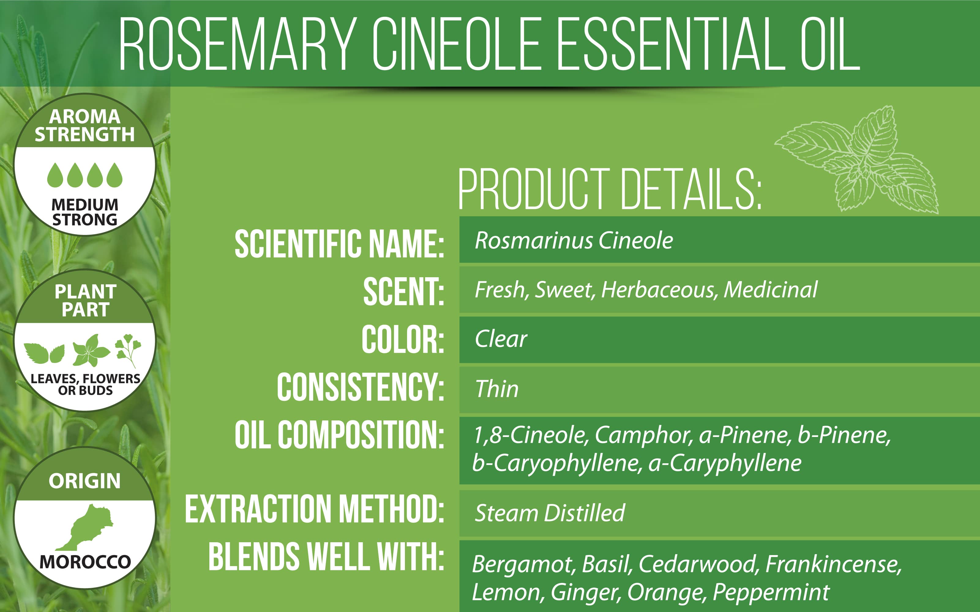 Rosemary Essential Oil Cineole Product Details