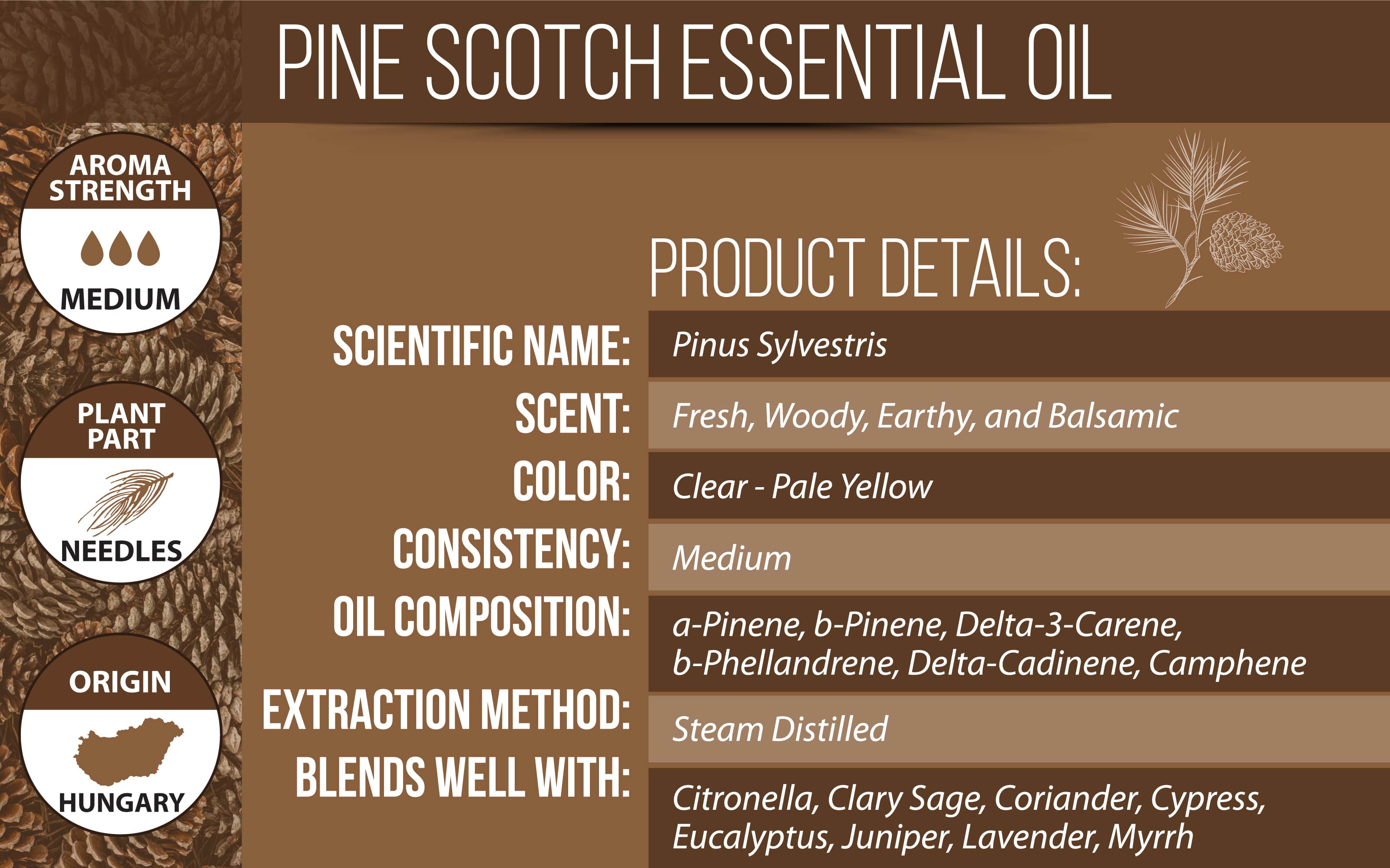 Scotch Pine Essential Oil Product Details