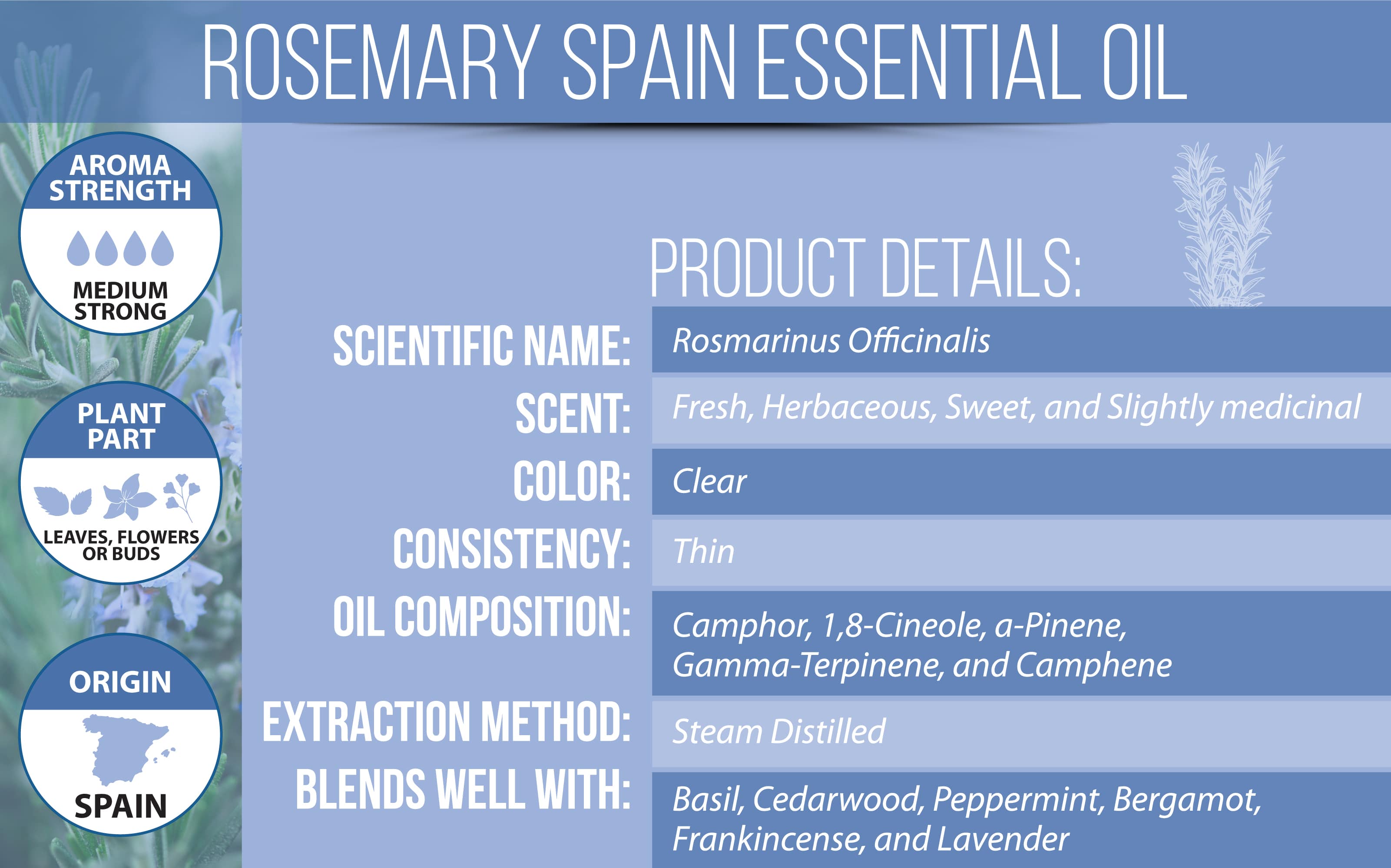 Spanish Rosemary Essential Oil Product Details