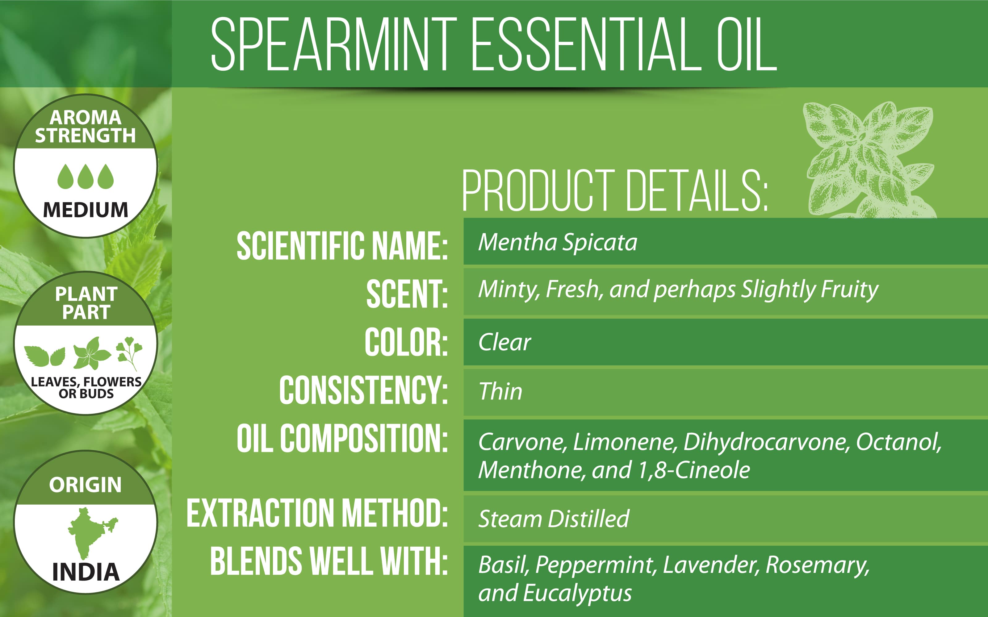 Spearmint Essential Oil Product Details
