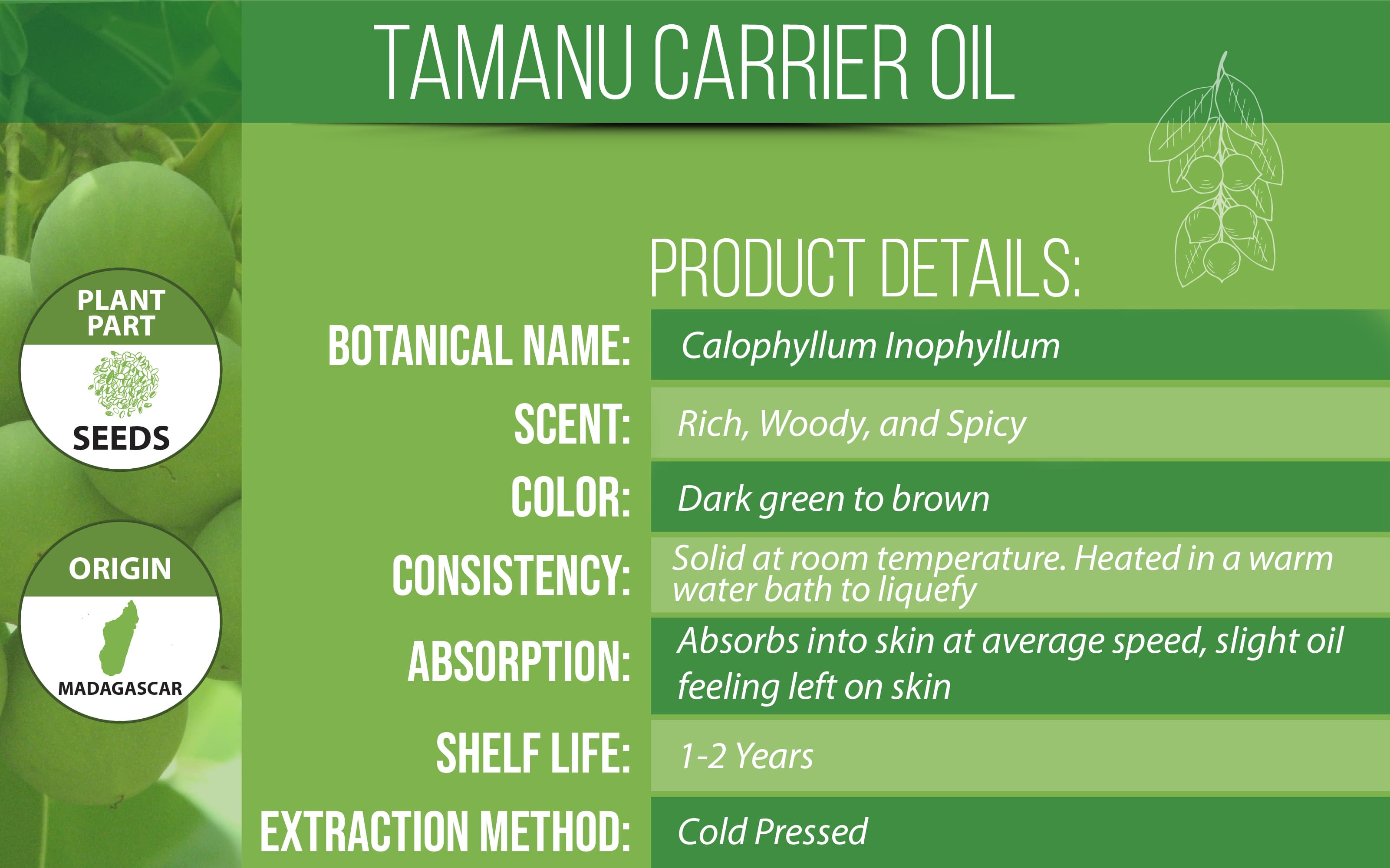 Tamanu Oil Product Details