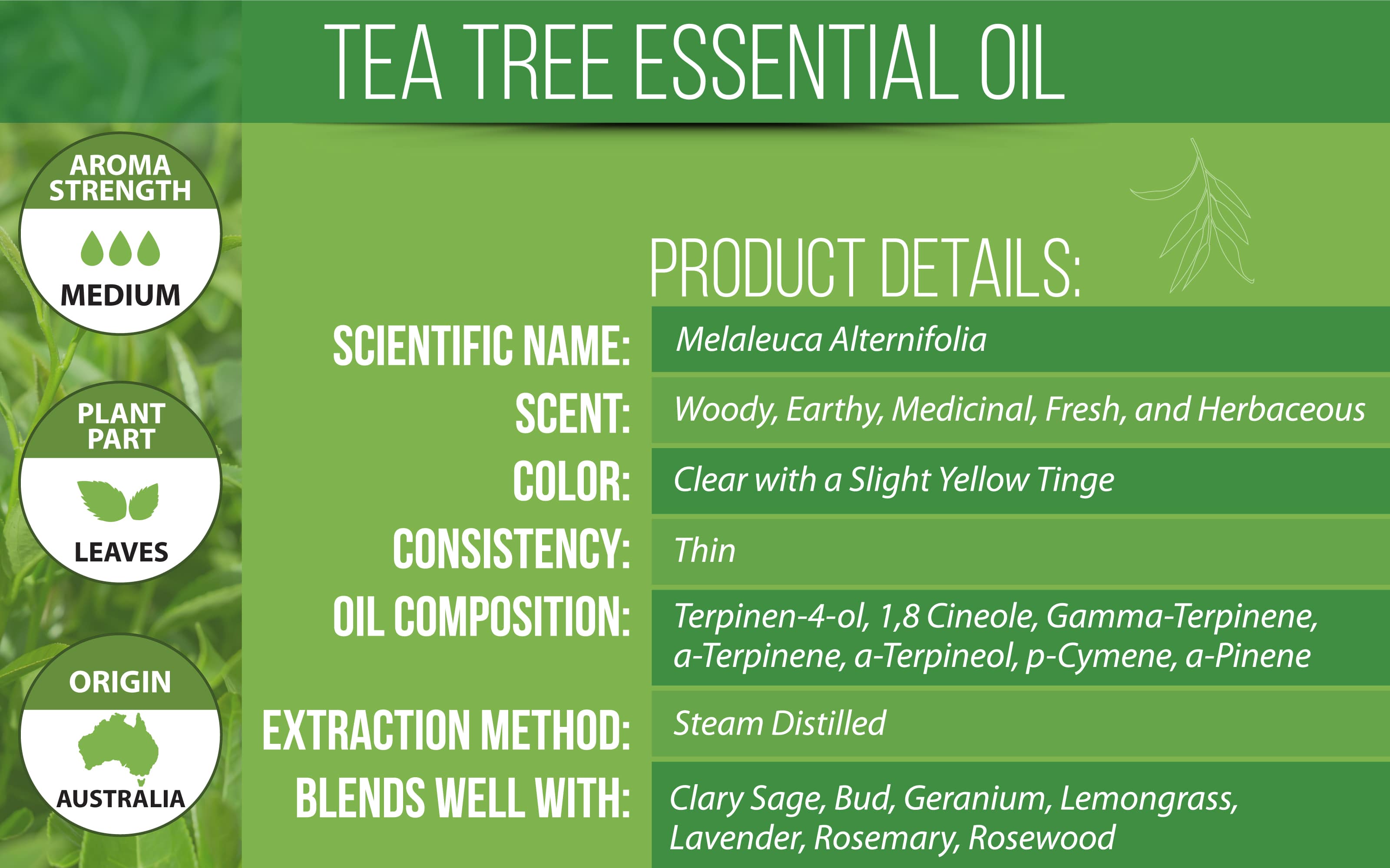 Tea Tree Essential Oil Product Details