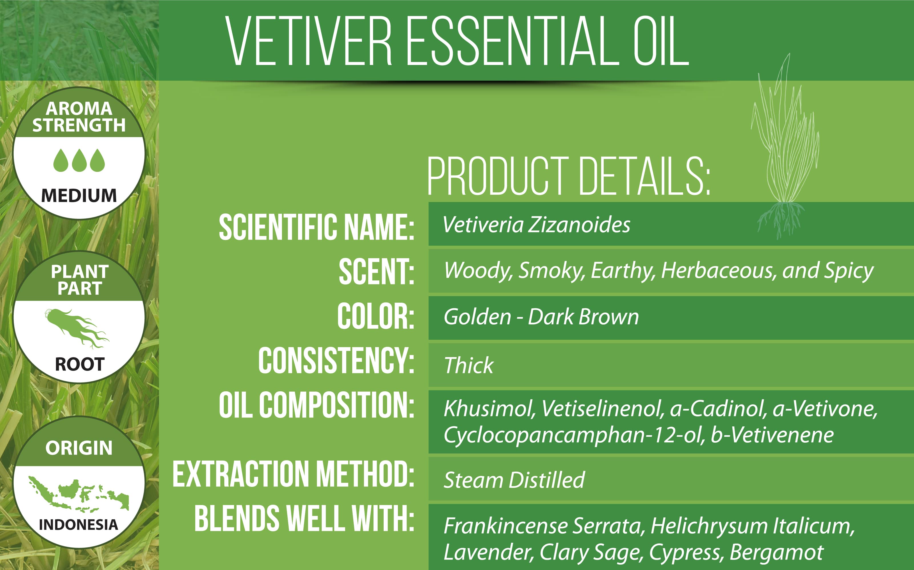 Vetiver Essential Oil Product Details