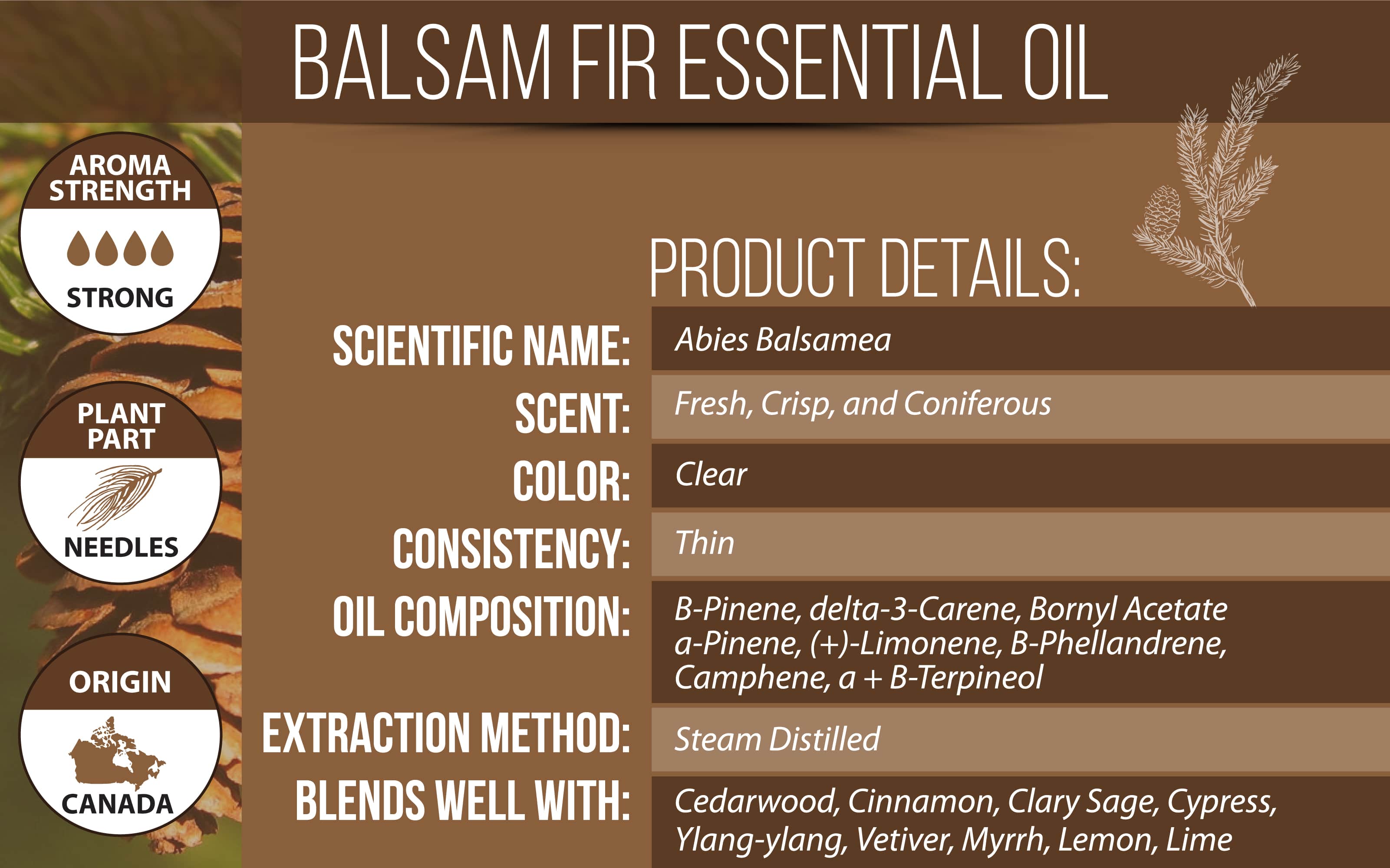 balsam fir essential oil