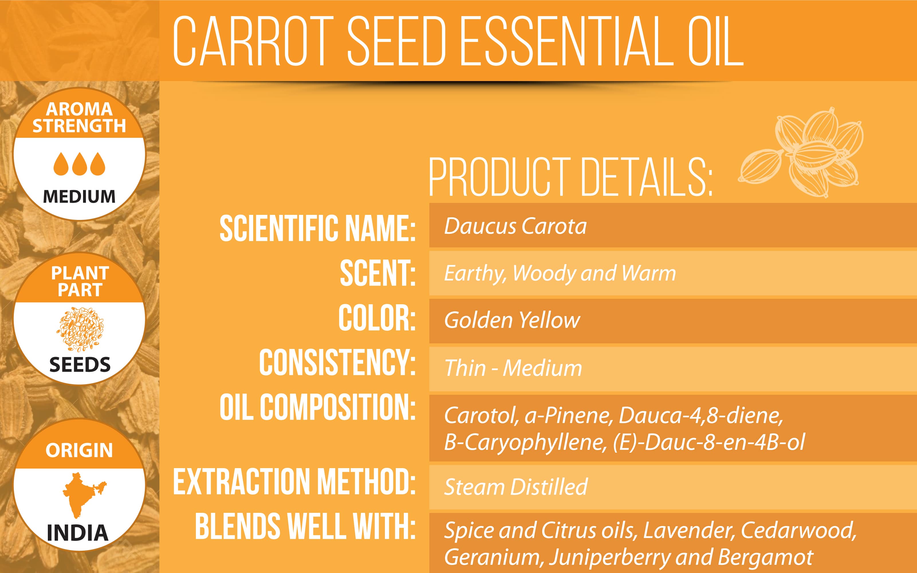 carrot seed essential oil details