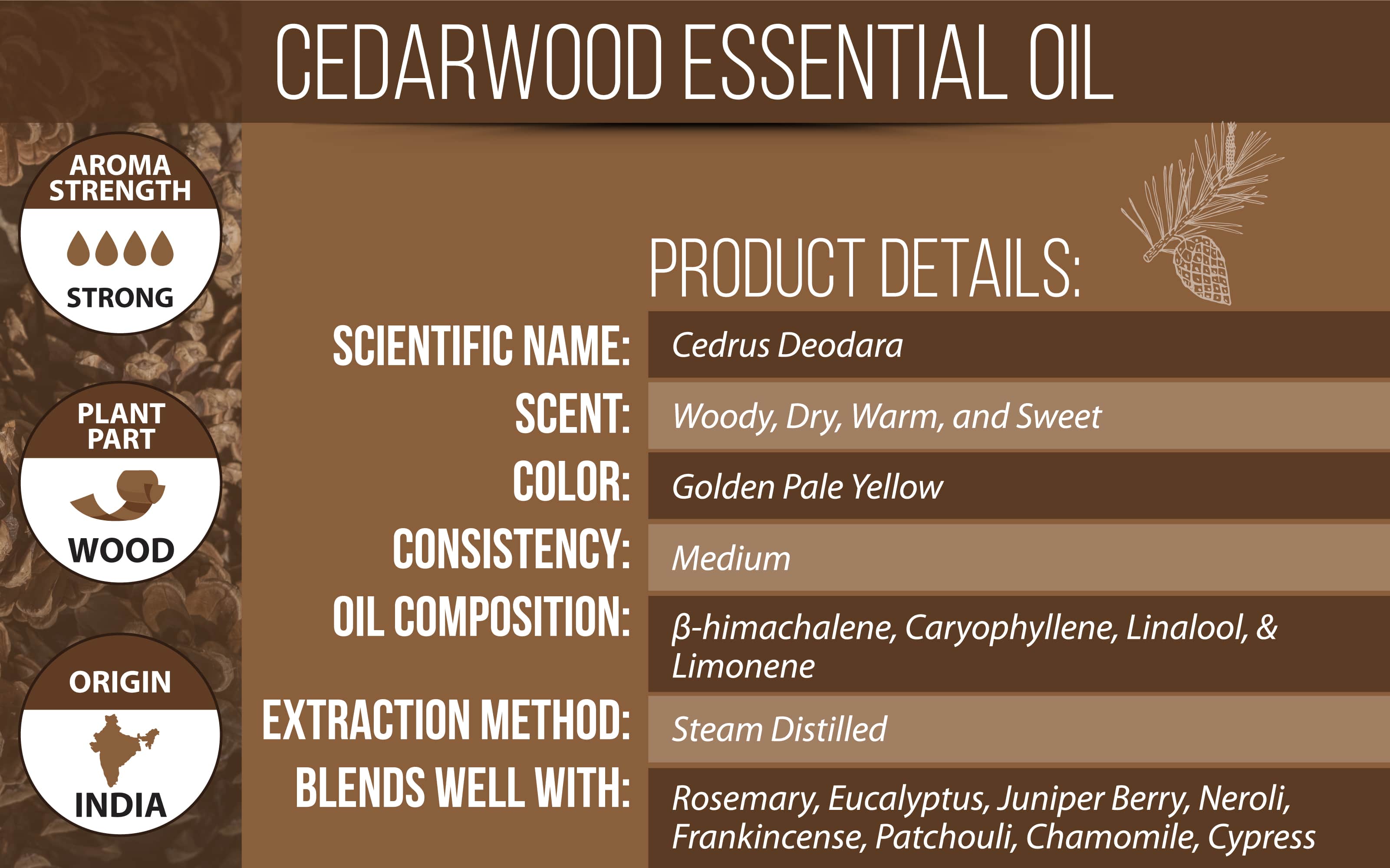 10 Benefits and Uses of Cedarwood Oil