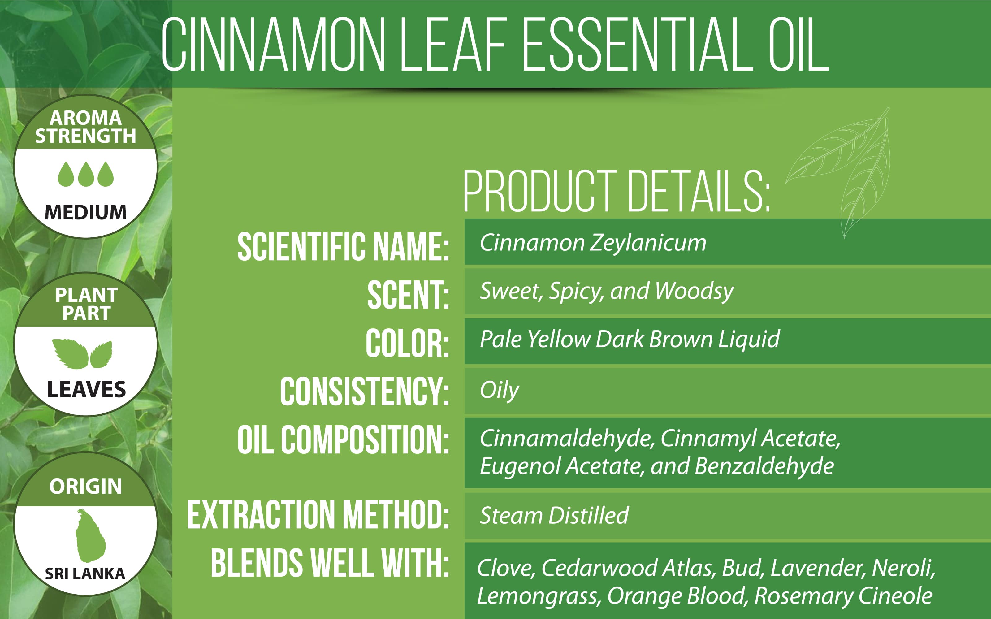 Cinnamon Leaf Essential Oil Uses, & Blends | VINEVIDA