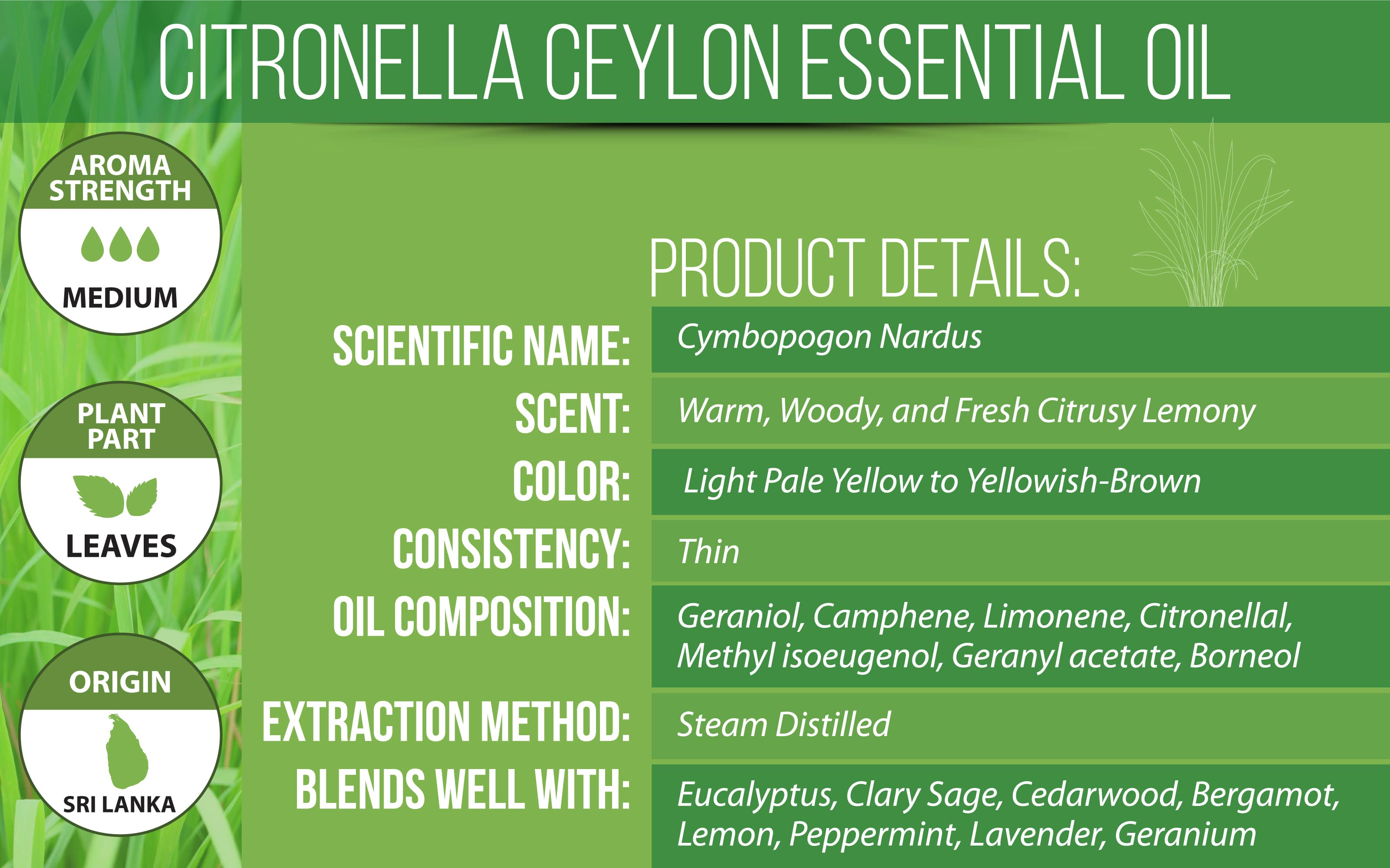 citronella plant oil