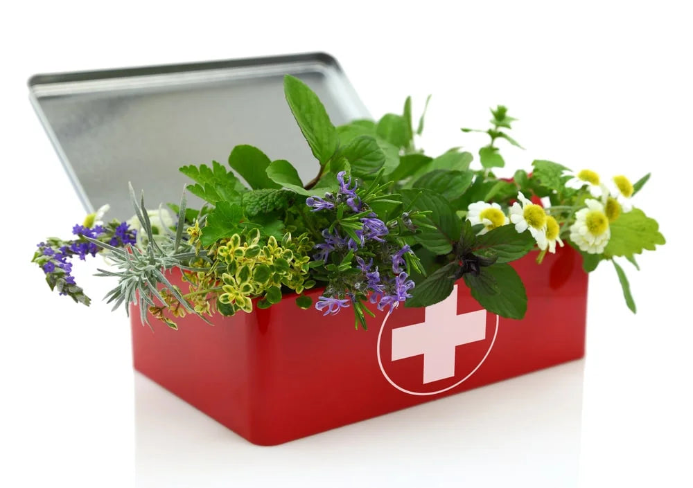 Natural First Aid Box