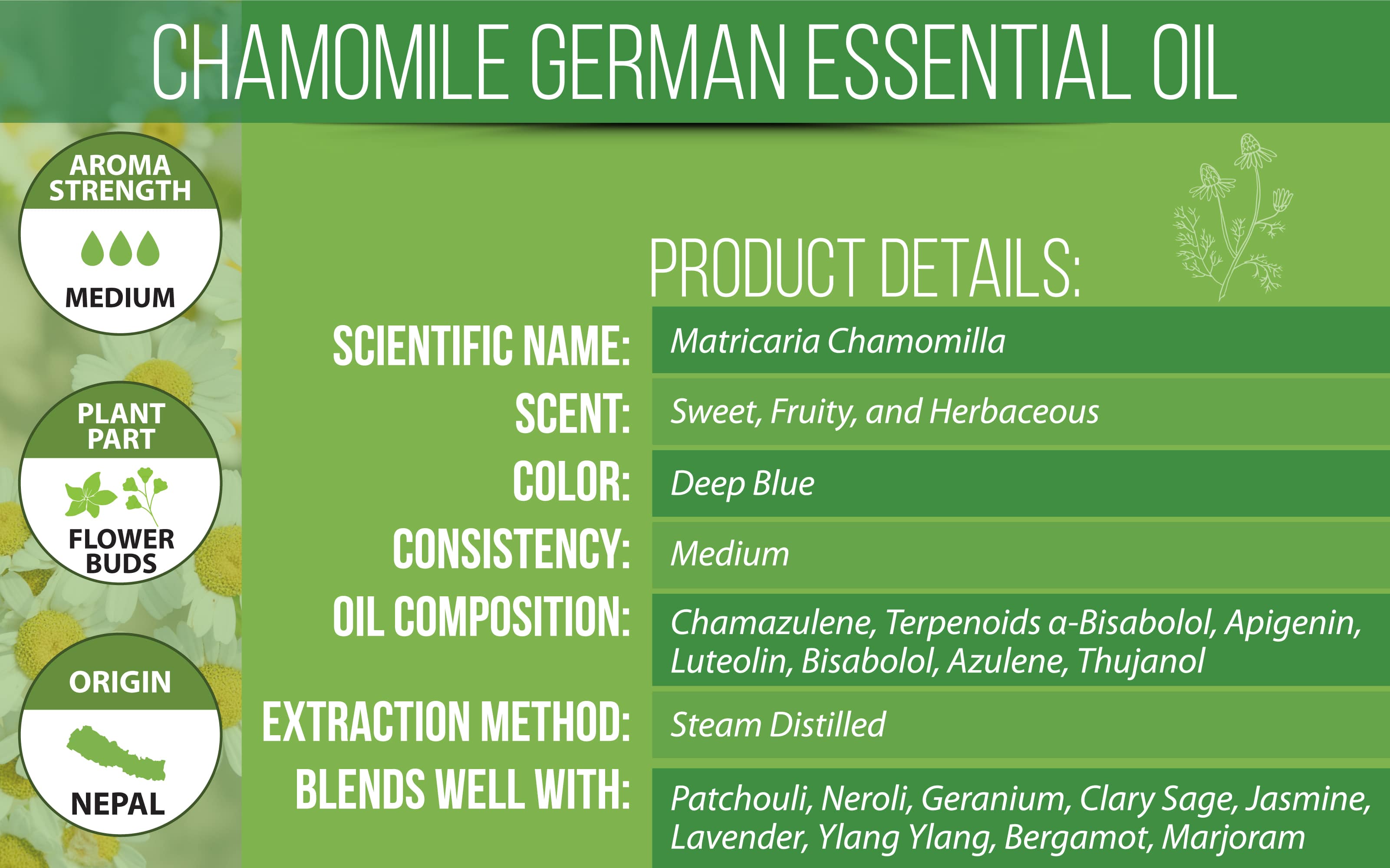 Chamomile Oil (German), Chamomile Oil Uses and Benefits, Chamomile Oil  Wholesale – Essential Oils Company
