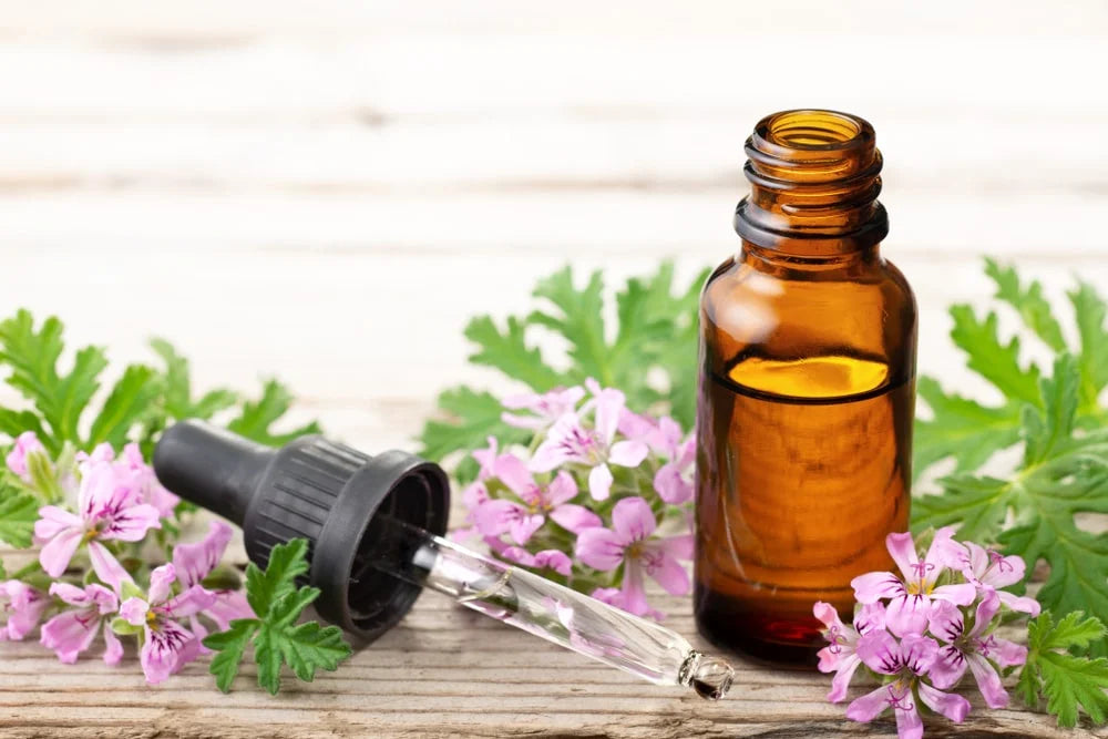 Historical Uses of Geranium Essential Oil