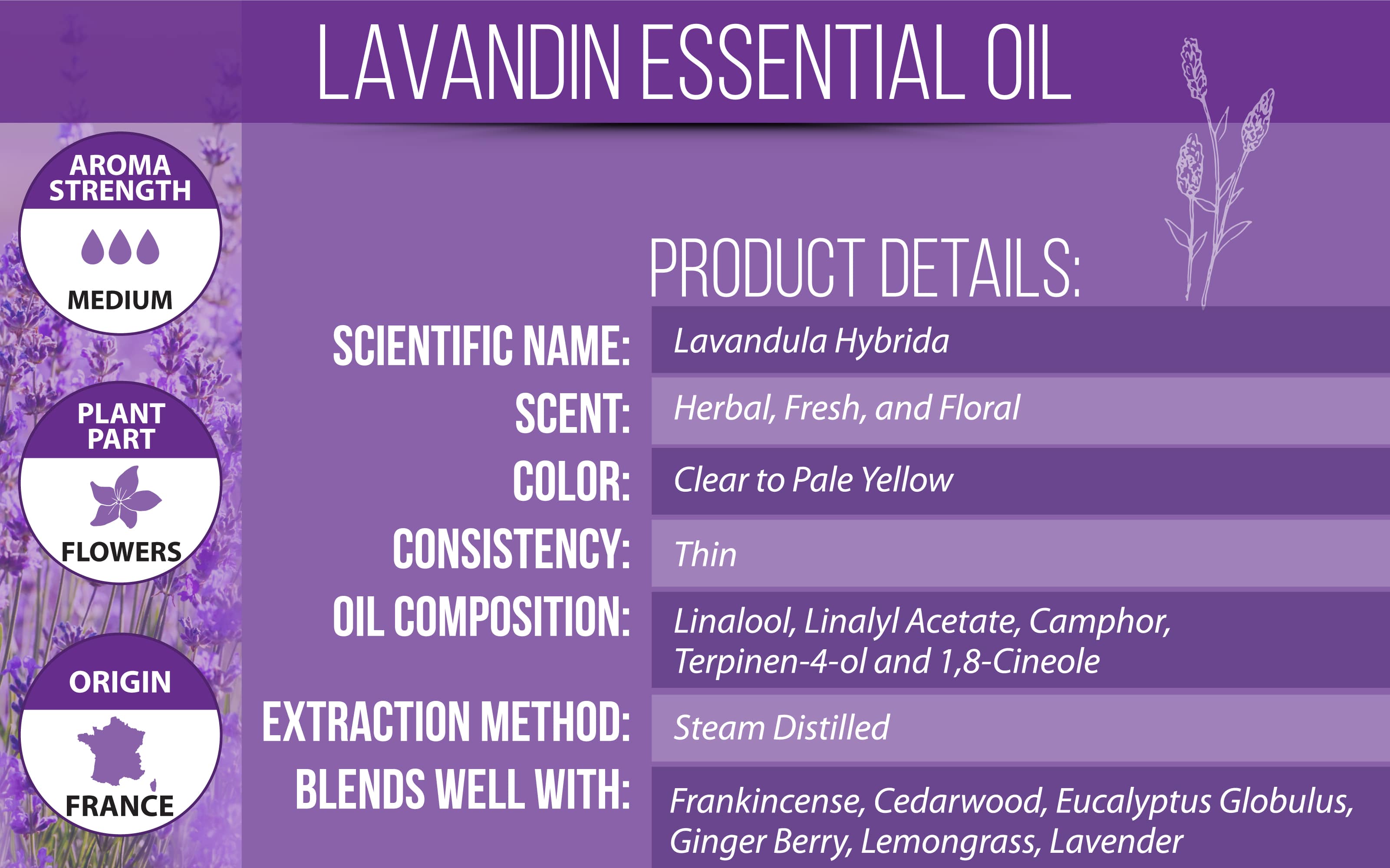 lavandin essential oil details